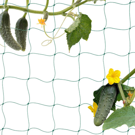 Trellis net 200 x 750 cm