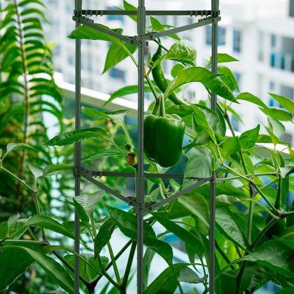 Trellis set of 2 92 cm