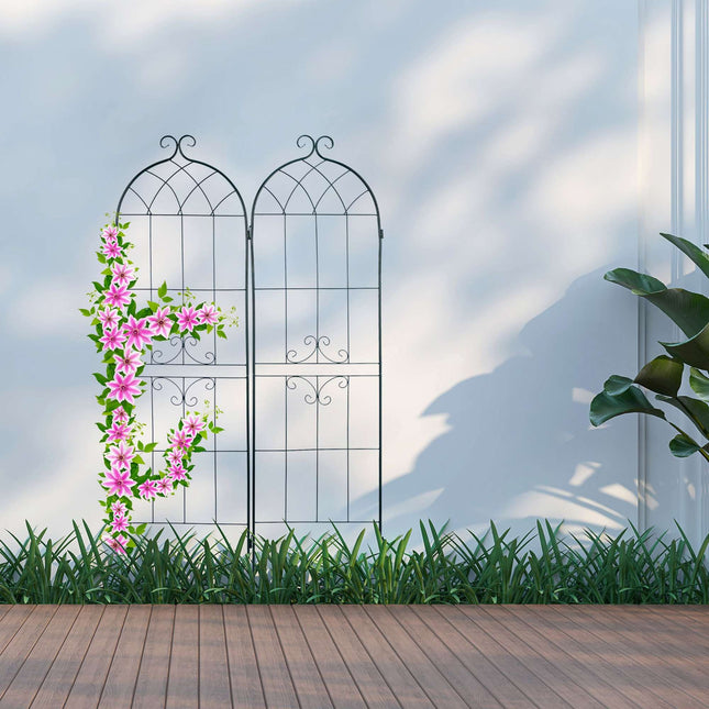 Trellis set of 2