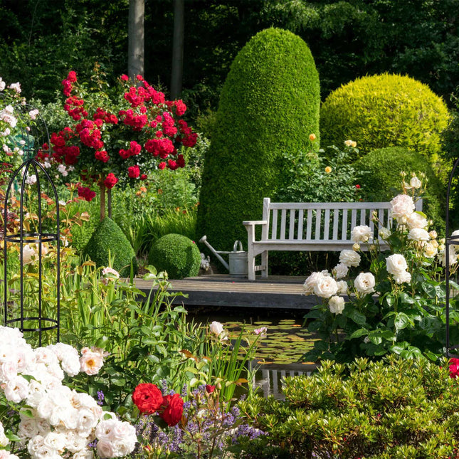 Trellis set of 2
