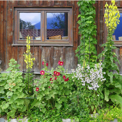 Trellis set of 2
