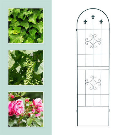 Trellis set of 2