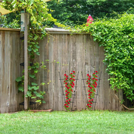 Trellis set of 2
