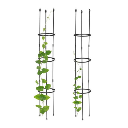 Trellis set of 2