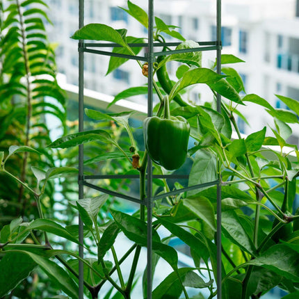 Trellis set of 4 90 cm