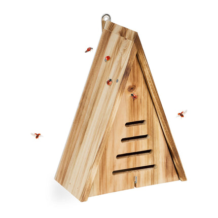 Triangular ladybug house