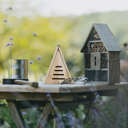 Triangular ladybug house