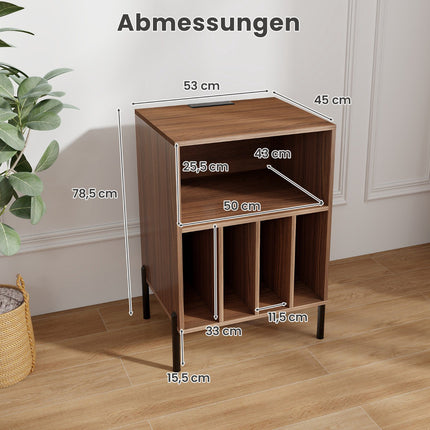Turntable Stand with Charging Station & Storage Shelves