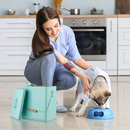Turquoise lunch box set of 2