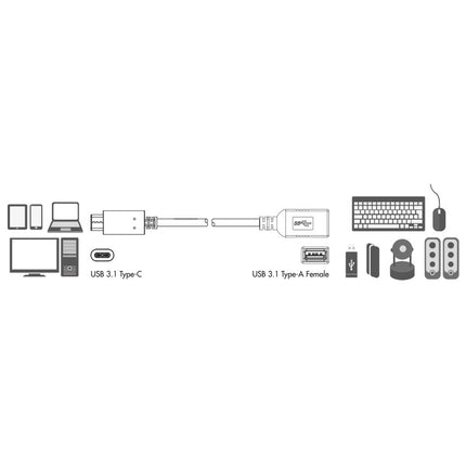 USB 3.1 USB-C Ha -> USB-A Ho