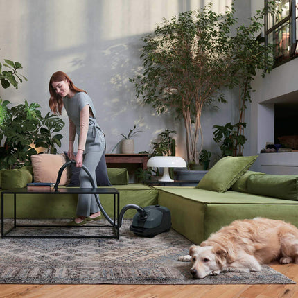 Vacuum Cleaner 850W – Home Use, High Efficiency