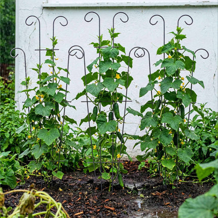 Vintage Metal Rose Trellis Set for Climbing Plants