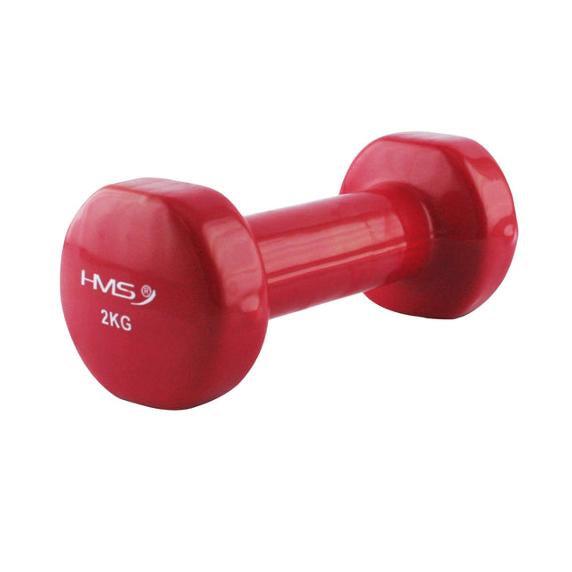 Vinyl Dipping Dumbbell 2.0kg – Non-Slip Grip