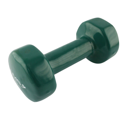 Vinyl Dipping Dumbbell 4kg – Non-Slip Grip