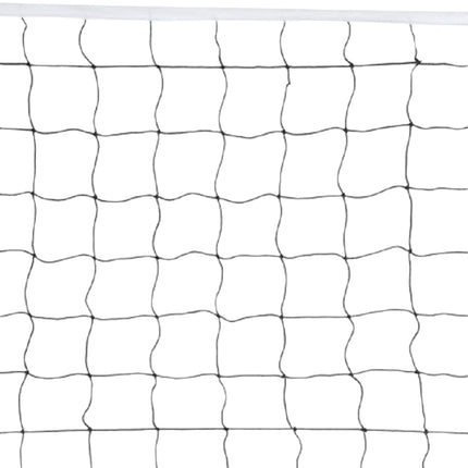 Volleyball net + bag