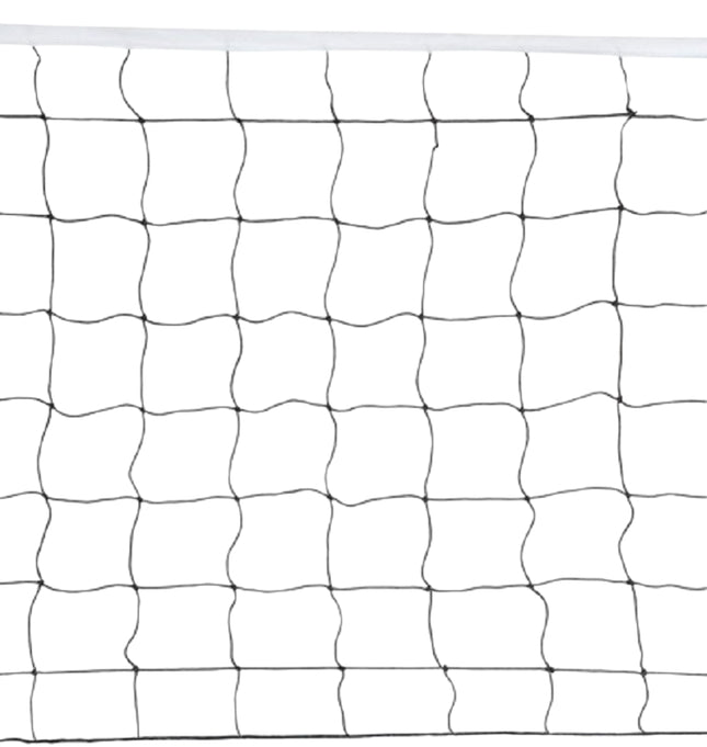 Volleyball net + bag