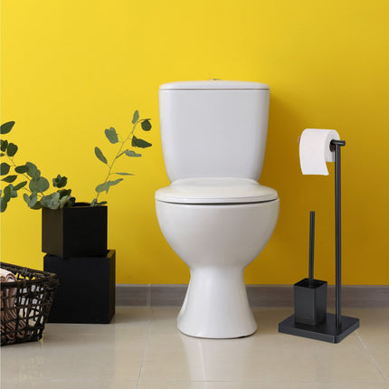WC set with 2 replacement brush heads