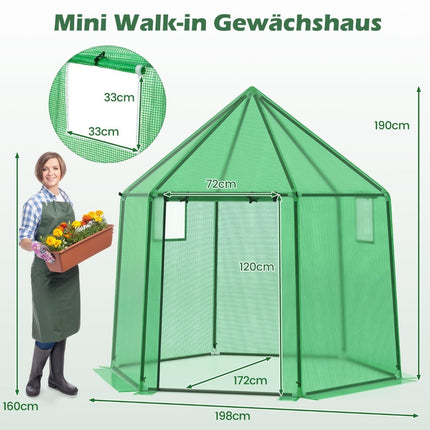 Walk-In Greenhouse with PE Cover, Roll-Up Door, Windows