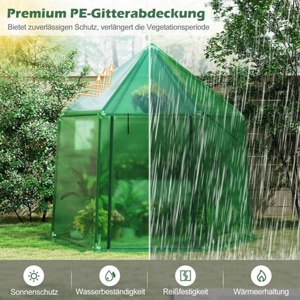 Walk-In Greenhouse with PE Cover, Roll-Up Door, Windows