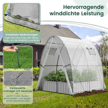 Walk-In Greenhouse with PE Cover & Roll-Up Doors, 181x181x200 cm