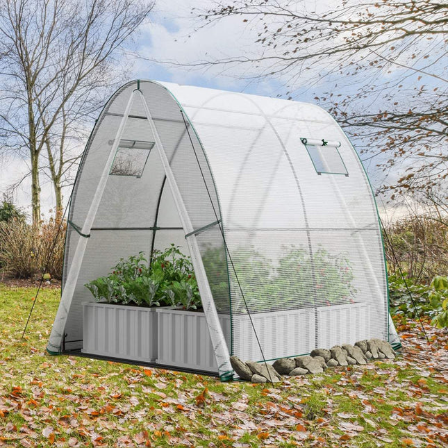 Walk-In Greenhouse with PE Cover & Roll-Up Doors, 181x181x200 cm