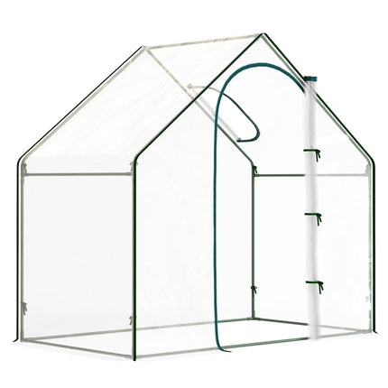 Walk-In Greenhouse with Window, Roll-Up Door, 180x100x168 cm