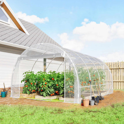 Walk-In Polytunnel Greenhouse, Steel Frame, UV PE Cover