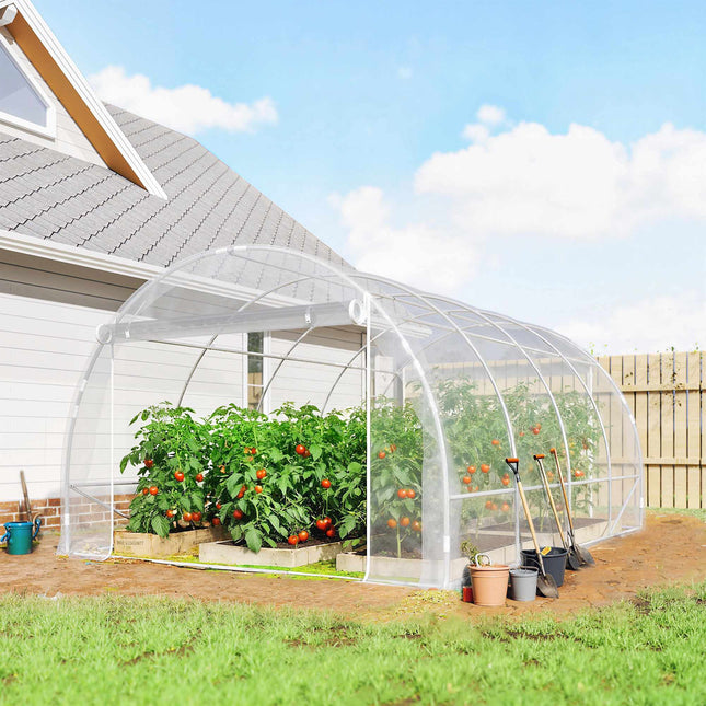 Walk-In Polytunnel Greenhouse, Steel Frame, UV PE Cover