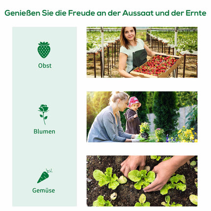 Walk-In Tunnel Greenhouse, Transparent Cover, 3x2x2m