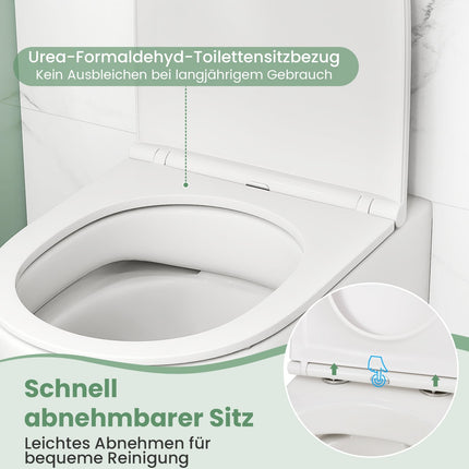 Wall-Hung Toilet, Dual Flush, Soft-Close Seat, White