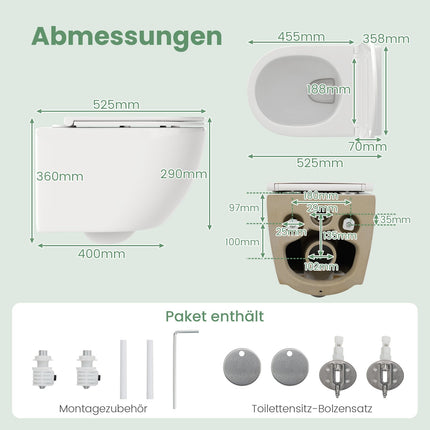 Wall-Hung Toilet, Dual Flush, Soft-Close Seat, White