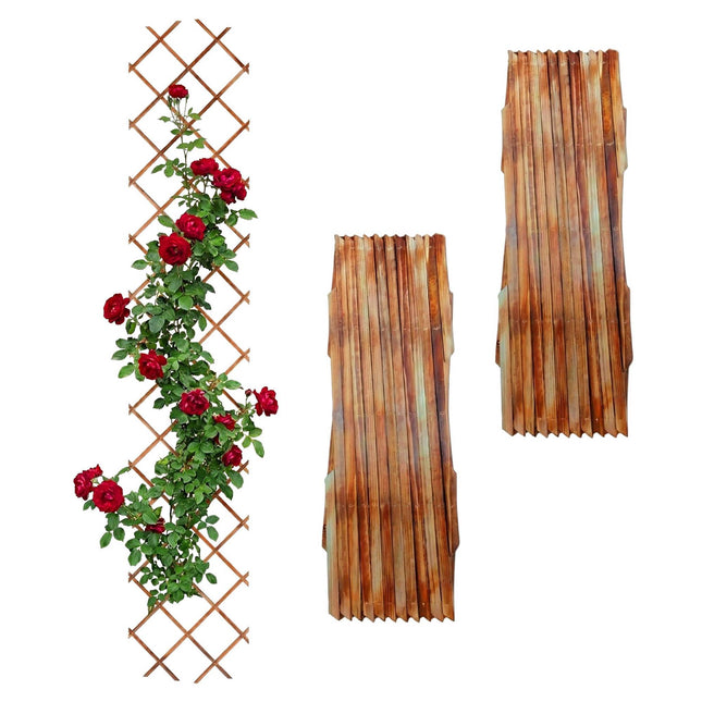 Wall-Mounted Extendable Spruce Plant Trellis, Set of 3