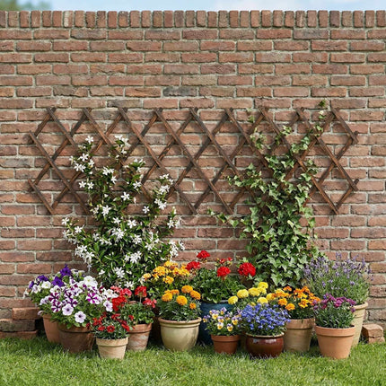Wall-Mounted Extendable Spruce Plant Trellis, Set of 3