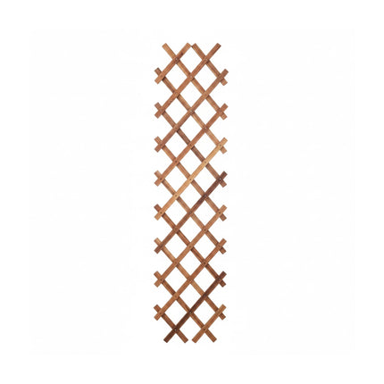 Wall-Mounted Extendable Spruce Plant Trellis, Set of 3