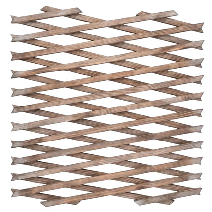 Wall-Mounted Extendable Spruce Plant Trellis, Set of 3