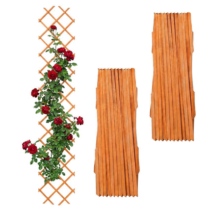 Wall-Mounted Extendable Trellis Set of 3 for Vines