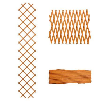Wall-Mounted Extendable Trellis Set of 3 for Vines