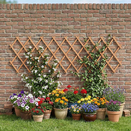 Wall-Mounted Extendable Trellis Set of 3 for Vines