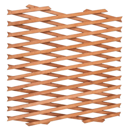 Wall-Mounted Extendable Trellis Set of 3 for Vines