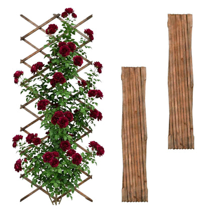 Wall-Mounted Plant Trellis, 3-Piece XXL Extendable