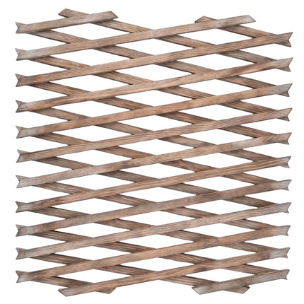 Wall-Mounted Plant Trellis, 3-Piece XXL Extendable