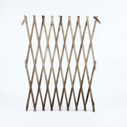 Wall-Mounted Plant Trellis, 3-Piece XXL Extendable