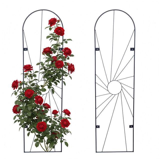 Wall Trellis Set, 2-Pack Powder-Coated Steel For Climbing Plants
