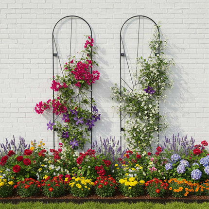 Wall Trellis Set, 2-Pack Powder-Coated Steel For Climbing Plants