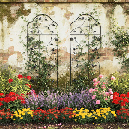 Wall Trellis Set, 2-Pack Powder-Coated Steel for Vines