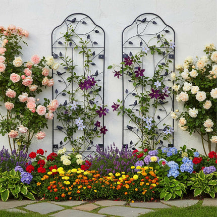 Wall Trellis Set, 2-Pack Powder-Coated Steel for Vines
