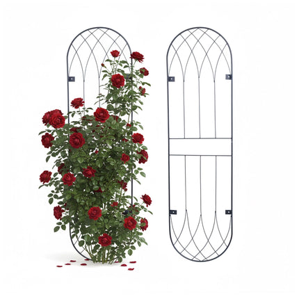 Wall Trellis Set Of 2 – Powder-Coated Steel, Wall-Mount