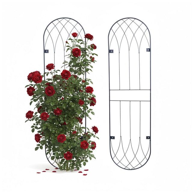 Wall Trellis Set Of 2 – Powder-Coated Steel, Wall-Mount