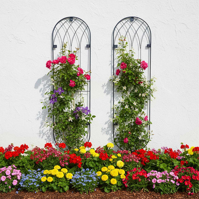 Wall Trellis Set Of 2 – Powder-Coated Steel, Wall-Mount