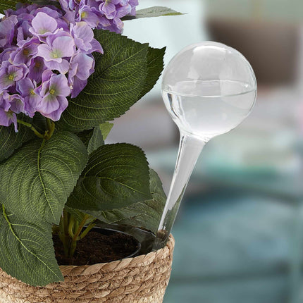 Water ball Set of 2 glasses